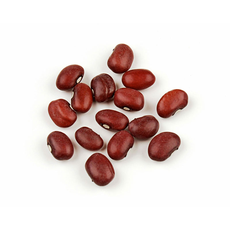 b66 small red beans main b66 small red beans main