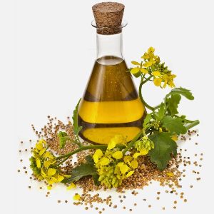 Canola oil
